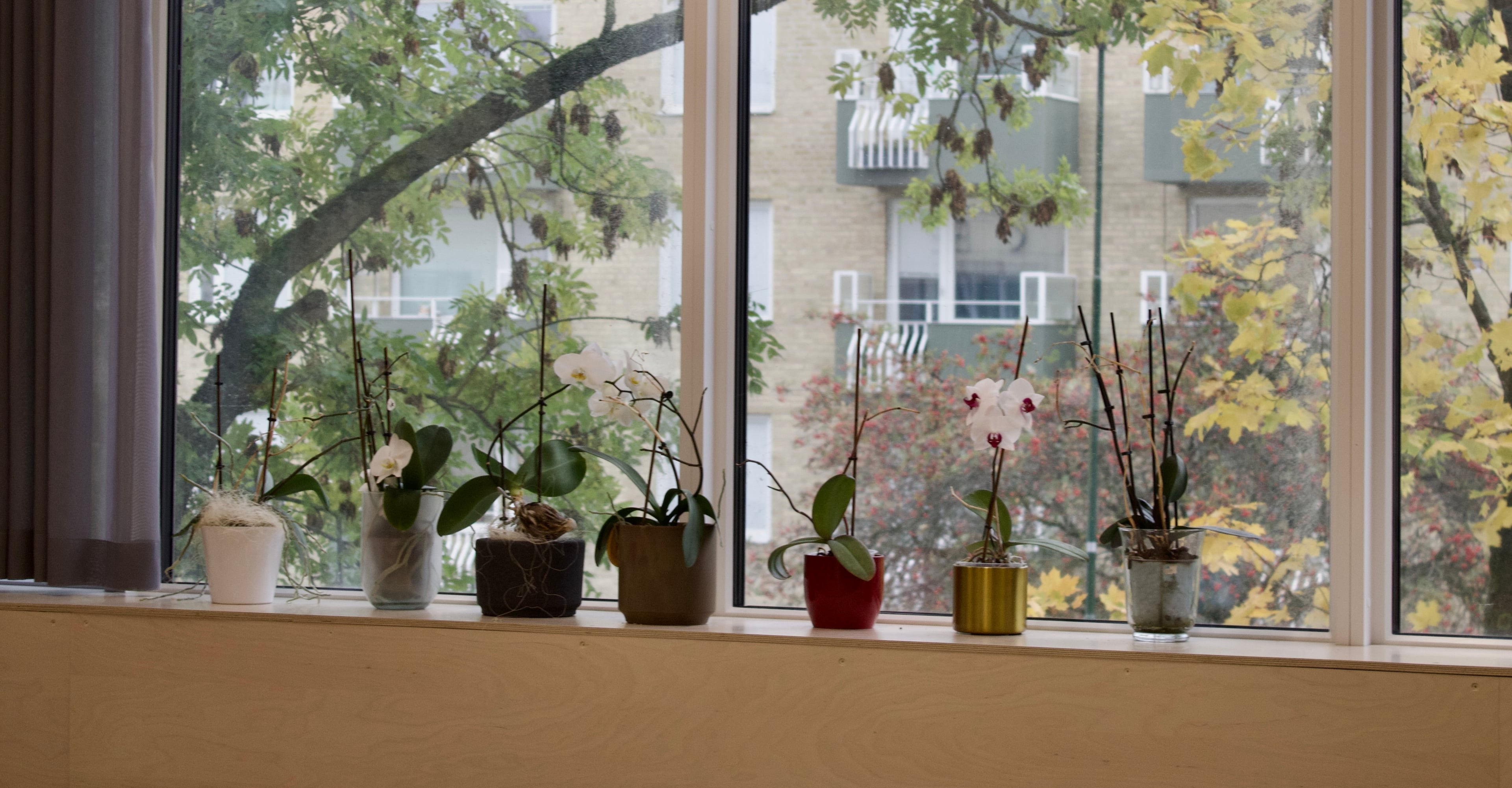 Place Lund Hotel - Gallery Image 11