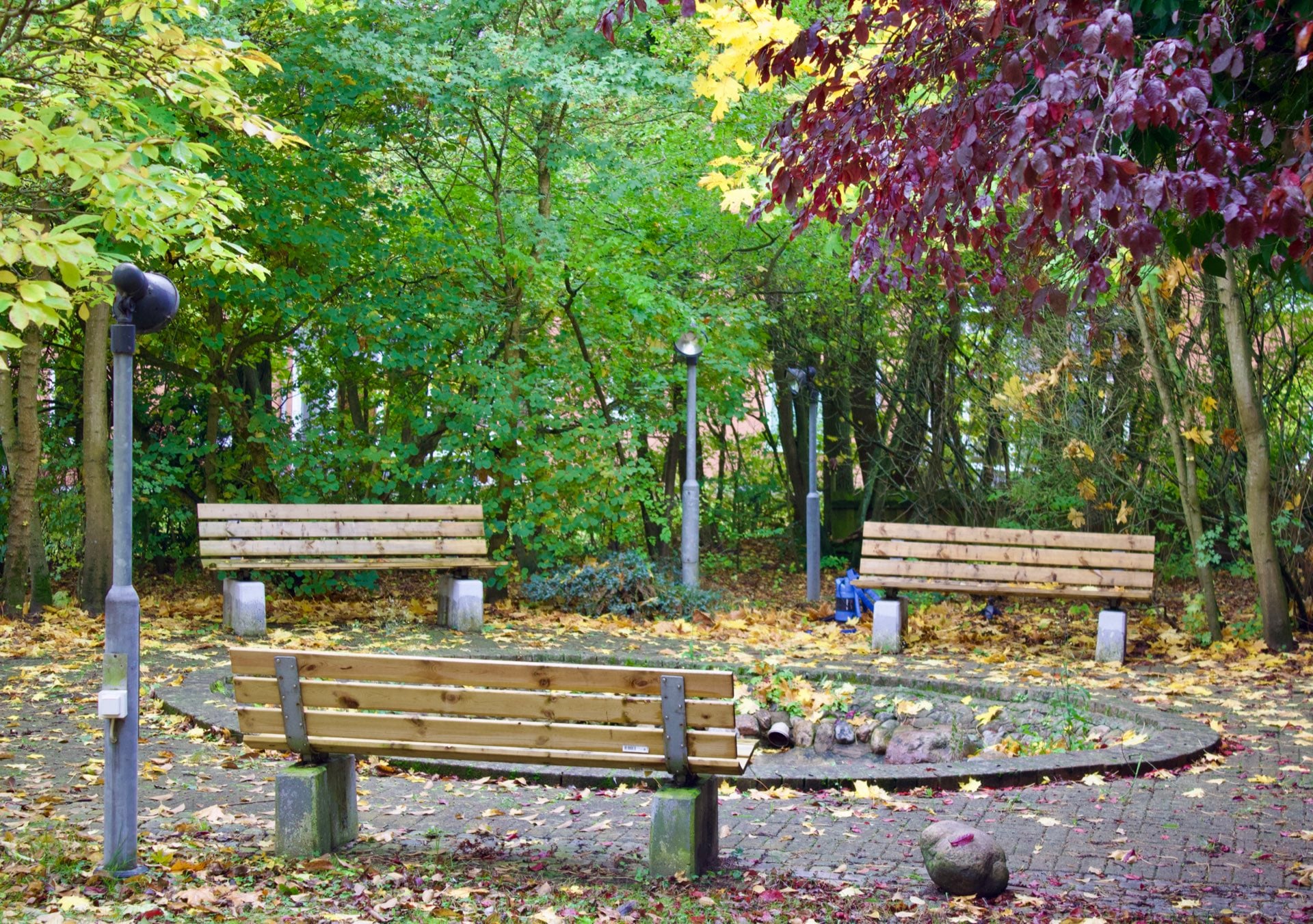 Economy Double - Image 3