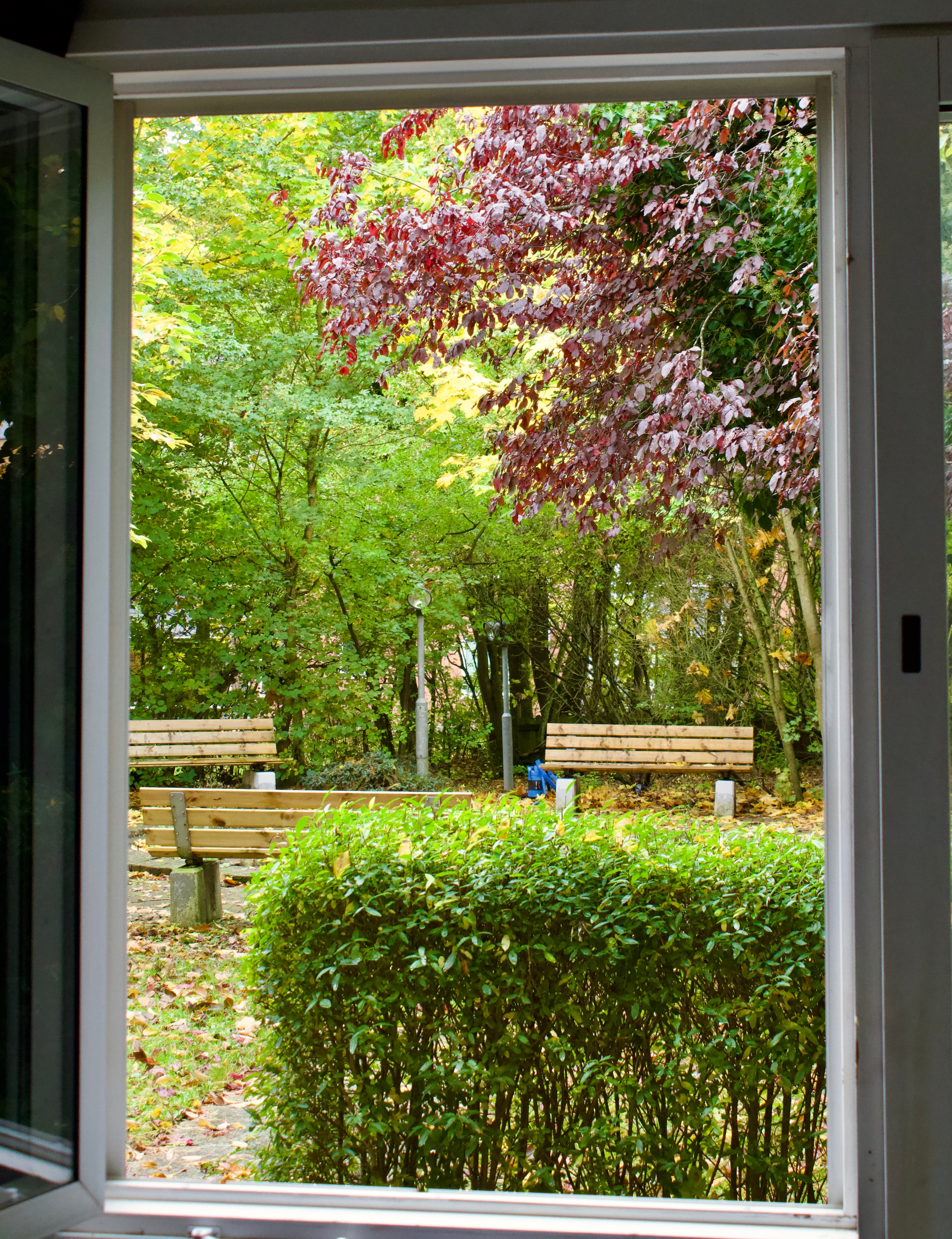 Single Garden View - Image 7