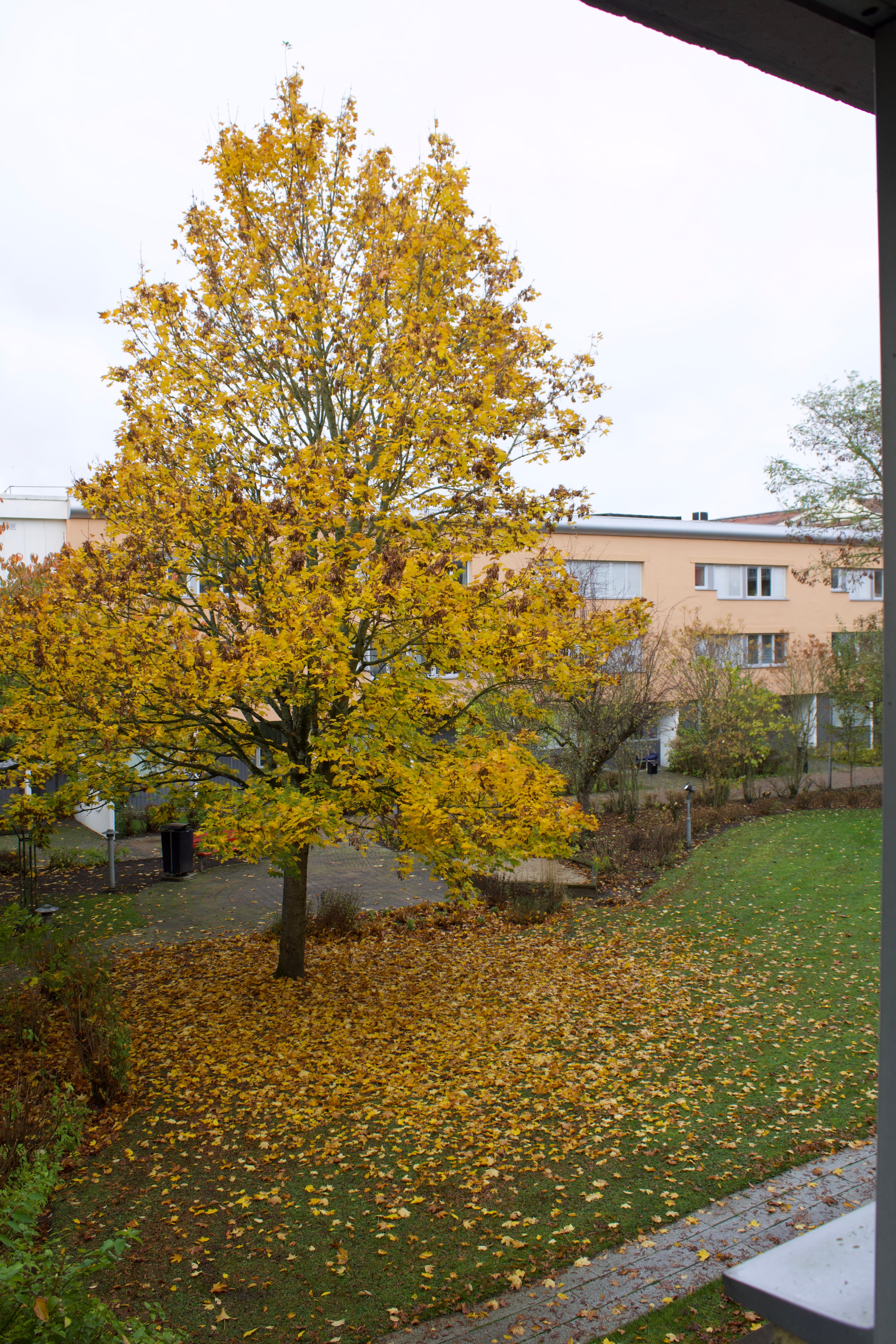 Twin Garden View - Image 2